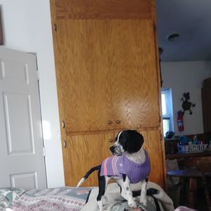 Meet your Posher, Ruthie